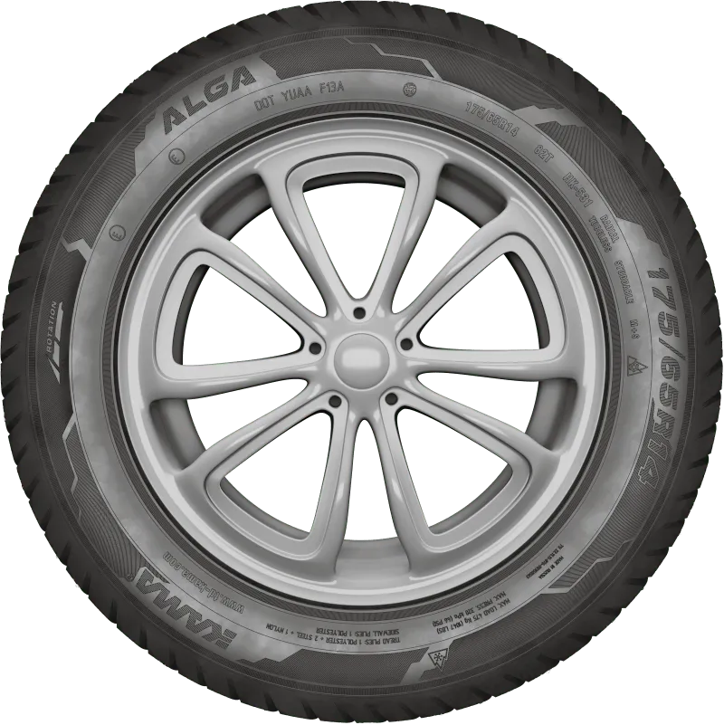 KAMA ALGA (НК-531) нешип в Коряжме — KAMA TYRES KAMA ALGA (НК-531) нешип в Коряжме
