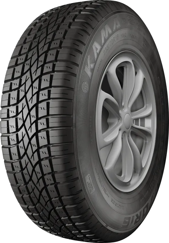KAMA-221 в Коряжме — KAMA TYRES KAMA-221 в Коряжме